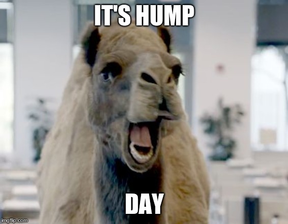 What Day Is It?